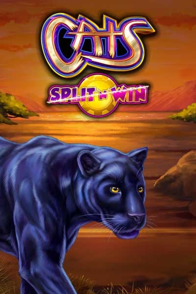 Cats Split ‘N’ Win